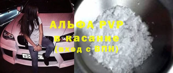 индика Алзамай