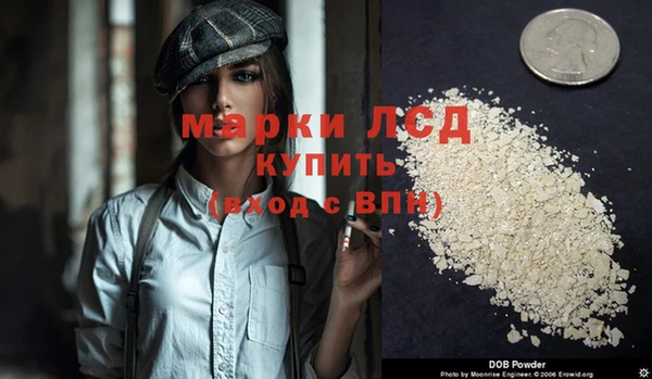 индика Алзамай