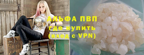 индика Алзамай