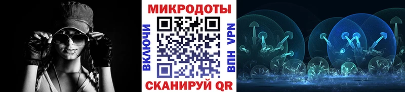 где продают   Черноголовка  shop телеграм  Псилоцибиновые грибы ЛСД 